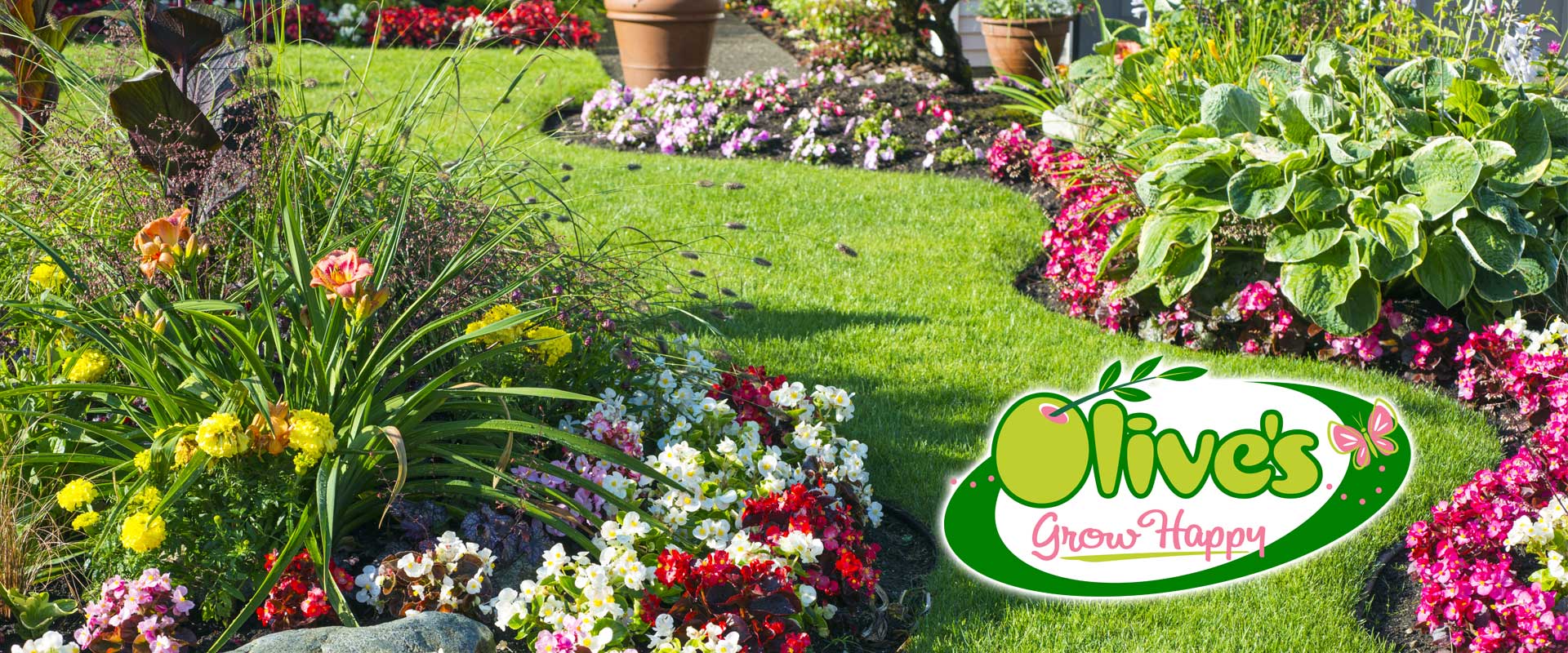 San Angelo's Nursery Olive's Nursery! Olive's Nursery San