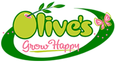 Olive's Nursery - Homepage