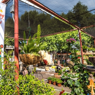 Patio-75YrBanner-02